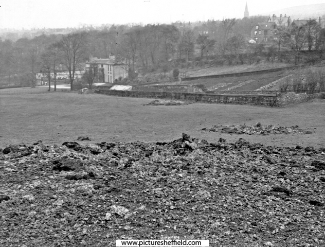 Craters behind Belle Vue, Norfolk Park Road after air raid
