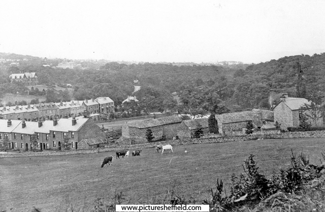 Hangingwater Farm and terraced houses, Hangingwater Road, from Bramwith Road. Also showing houses on Oakbrook Road, left. Riverdale, home of J.G. Graves and Endcliffe Hall in the distance.