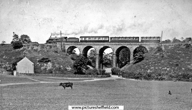 Train passing over the Five Arches, Herries Road