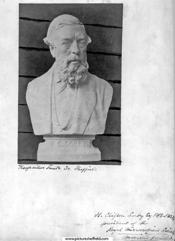 Marble Bust of Henry Clifton Sorby (1826 - 1908), FRS FGS, from life