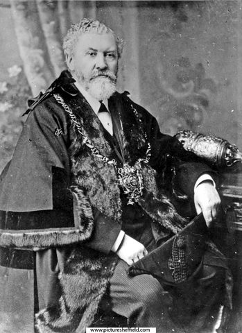 John Wycliffe Wilson (1836 - 1921), Lord Mayor, 1902