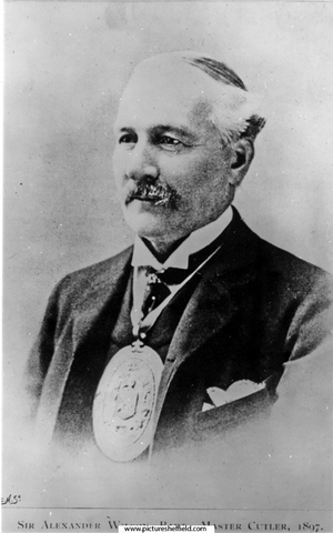 Alexander Wilson (1837 - 1907), Master Cutler 1897, later Sir Alex. Wilson