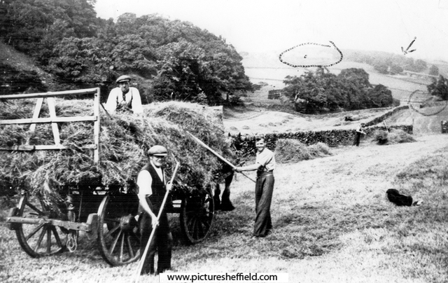 Haymaking at Peter Wood Farm, Fulwood