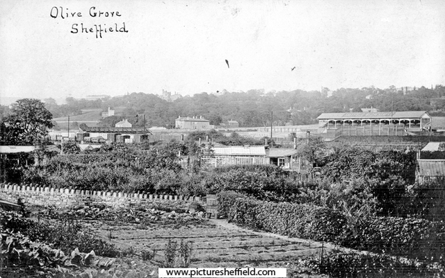 Olive Grove Road from Queen's Road Gardens, Sheffield Wednesday Football Ground in background