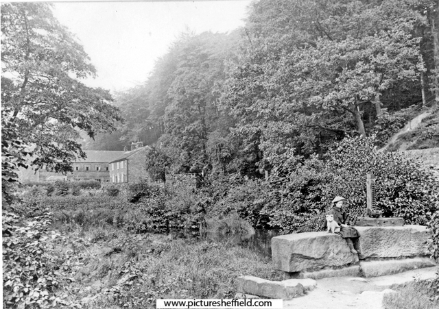 Outlet at Roscoe Wheel Mill, Rivelin Valley, Roscoe Cottages (occupied by the wheel grinders) can also be seen