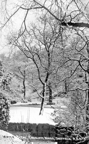 Winter scene, Endcliffe Park