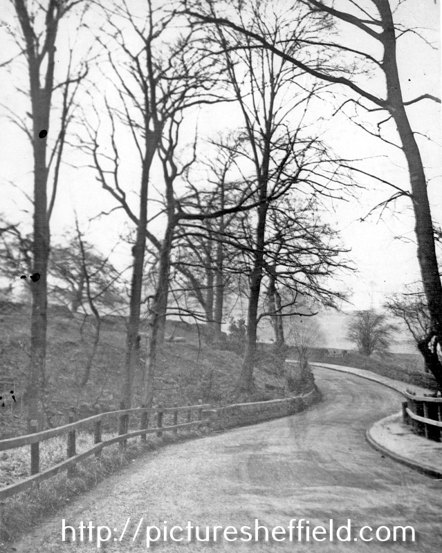 Bottom of Brookhouse Hill, Fulwood, leading down to Forge Dam.