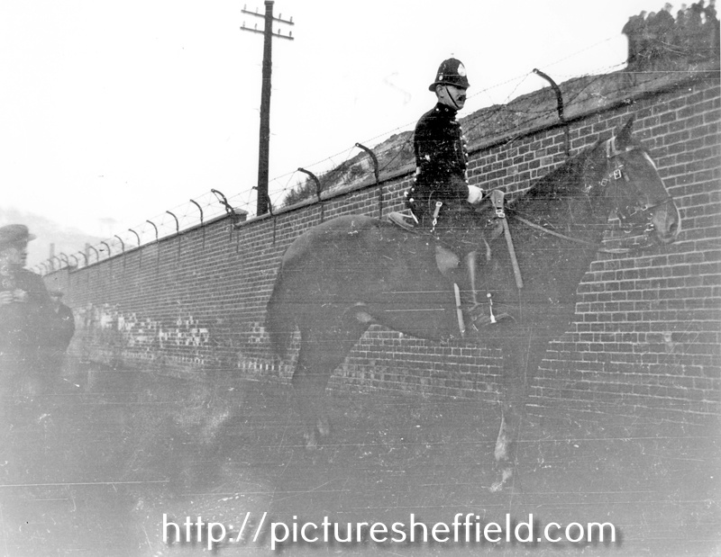 Mounted policeman Creaser from Attercliffe Police Station