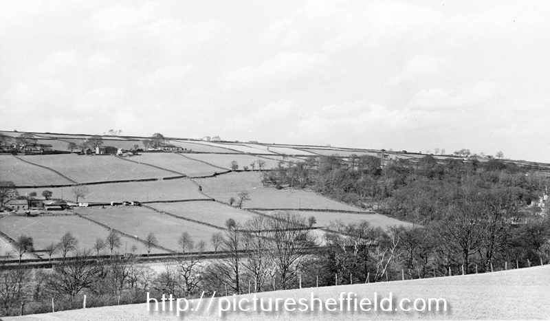 Rivelin Valley Road, Rails House (foreground, left), Revell Grange and Bingley Farm (in background, left) from Fox Hagg Farm, Rivelin Valley, looking north. Coppice Wood, right