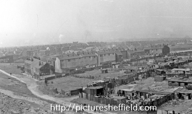 Elevated view of housing on Dolphin Street (middle of photograph), Broad Oaks Lane (diagonally in front of piggeries) and Piggeries,