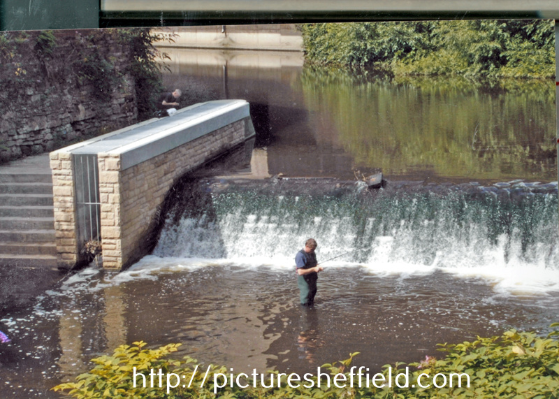Fishing at Walk Mill Weir, River Don showing the fish ladder