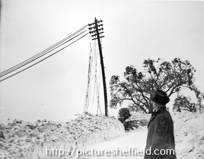 Alderman Joseph Curtis observing the broken telephone wires by Fulwood Hall, Harrison Lane