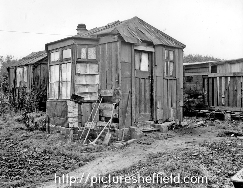 Residential hut at Meadowhead Allotments, picture took by Environmental Health to show squalid living conditions
