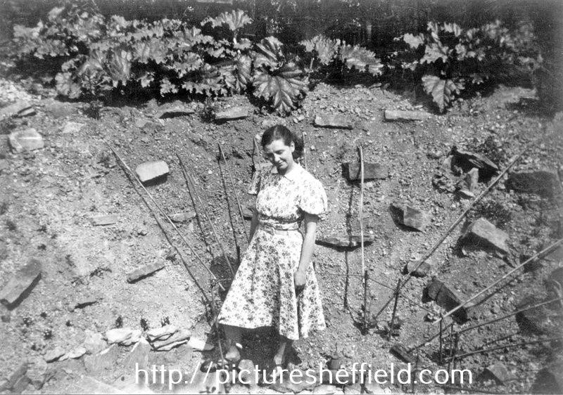 Elizabeth (Bach) Healey standing in the site of a crater made by a German bomb dropped on the night of 12/13th December 1940 at the bottom of the garden of 76 Crawford Road, Norton Lees