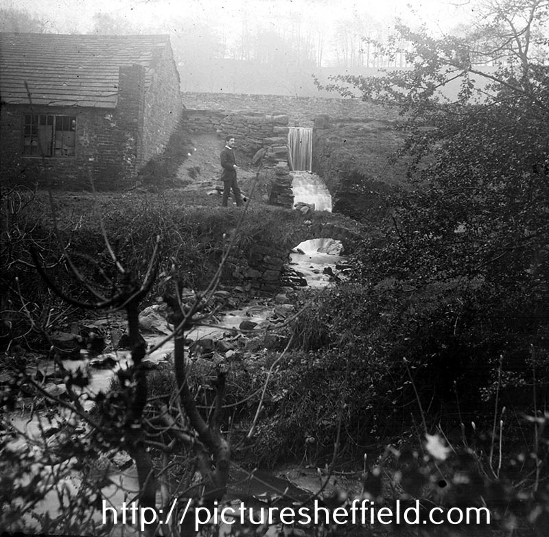 Nether Spurgear (also known as Third Endcliffe) Wheel, River Porter