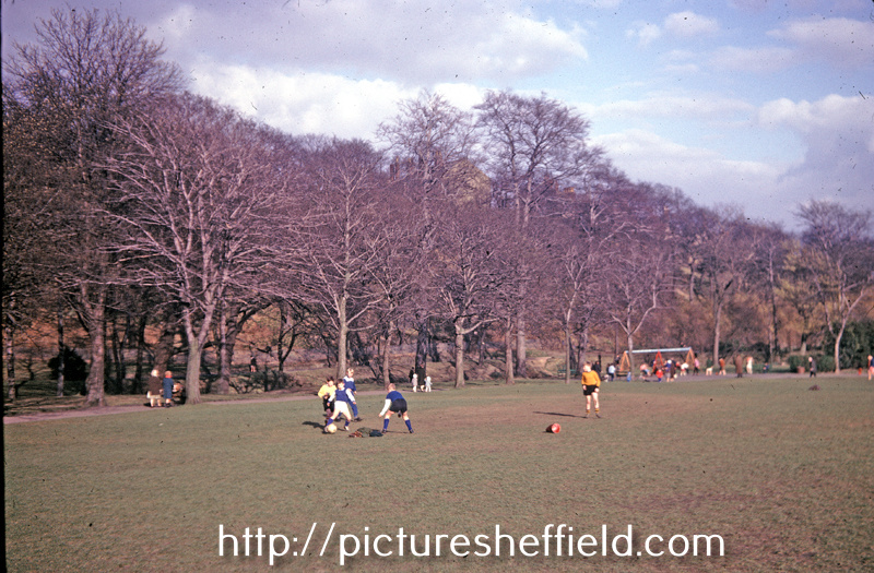 Endcliffe Park Young Footballers