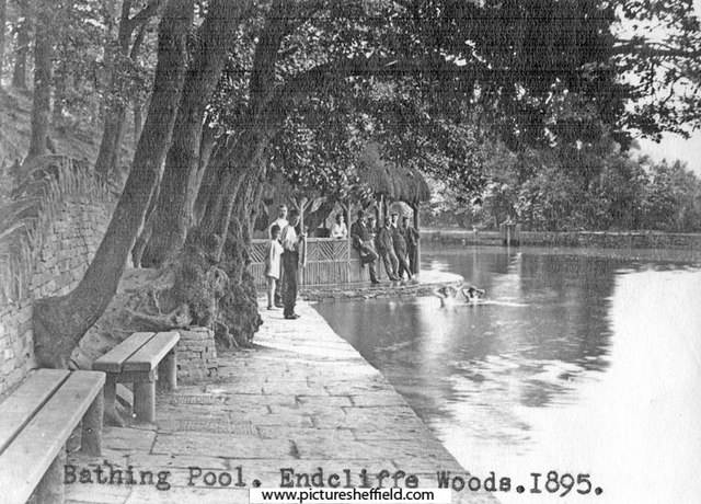 Bathing Dam, previously the dam belonging to Endcliffe Wheel, Endcliffe Woods 	