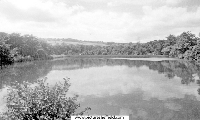 Dam belonging to W.A. Tyzack and Co. Ltd., scythe manufacturers, Clay Wheel Forge (also known as Hawksley), River Don at Wadsley. Photograph taken when Tyzack's were giving up the tenancy, and Messrs. Dunford and Elliott were intending to demolish w