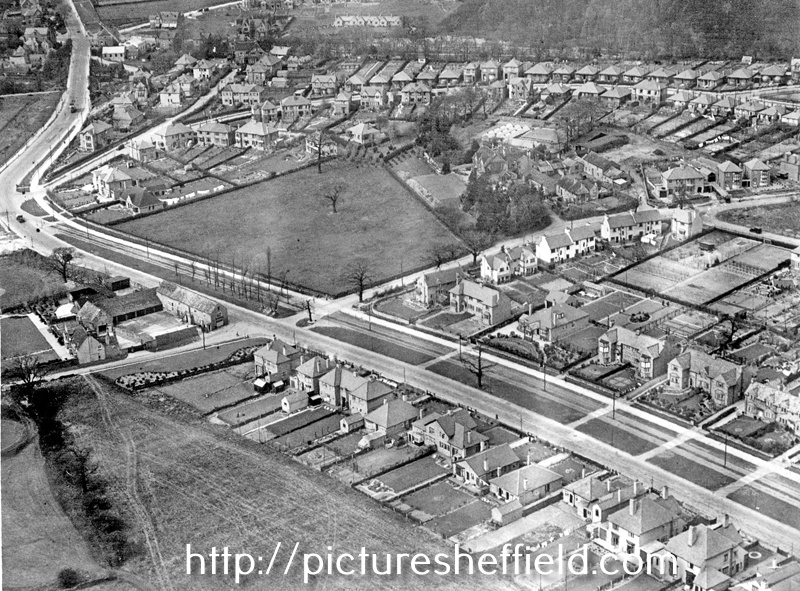 Searching Picture Sheffield