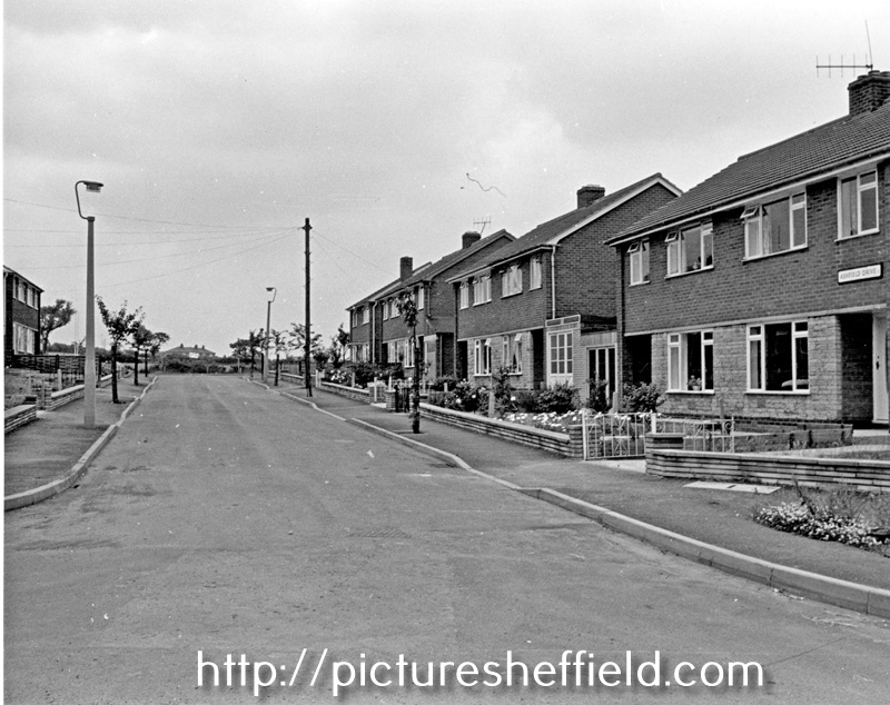 Searching Picture Sheffield