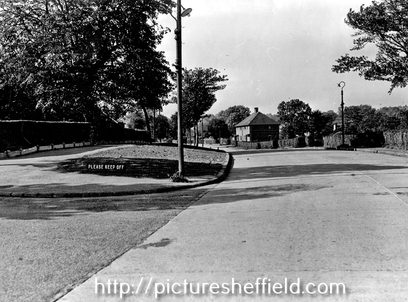 Searching Picture Sheffield
