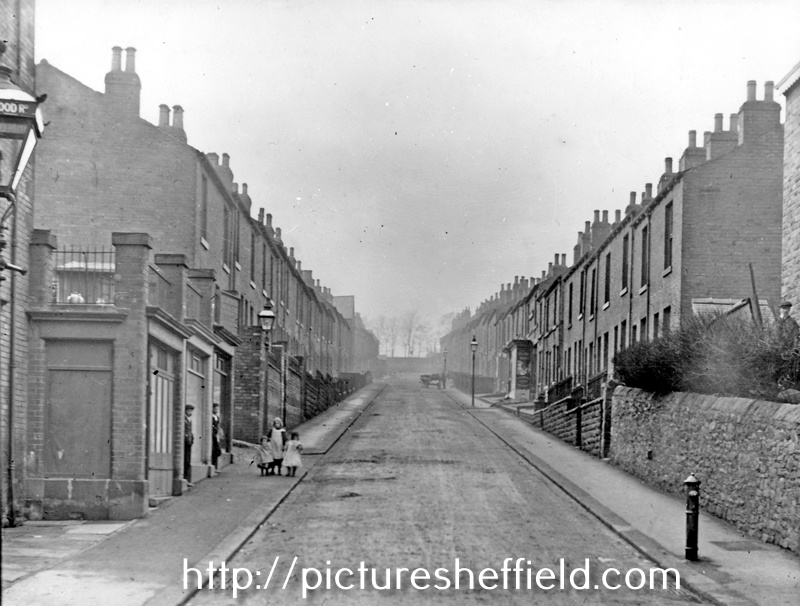 Searching Picture Sheffield