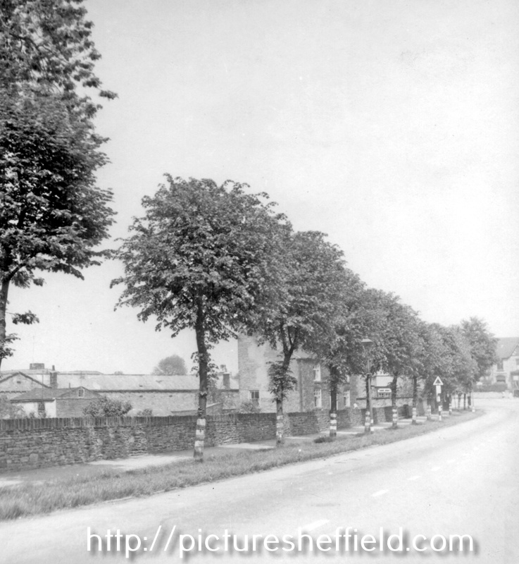 Searching Picture Sheffield