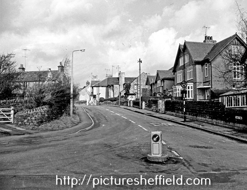 Searching Picture Sheffield