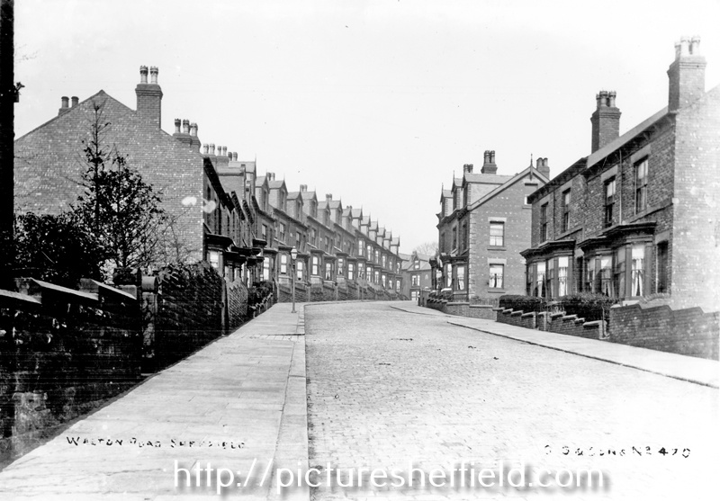 Searching Picture Sheffield