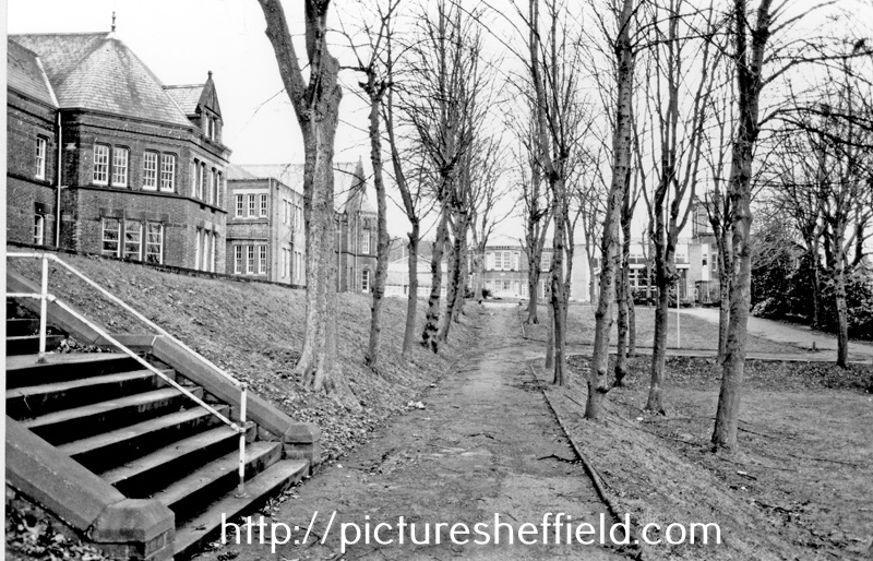 Searching Picture Sheffield