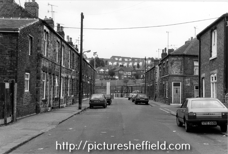 Searching Picture Sheffield