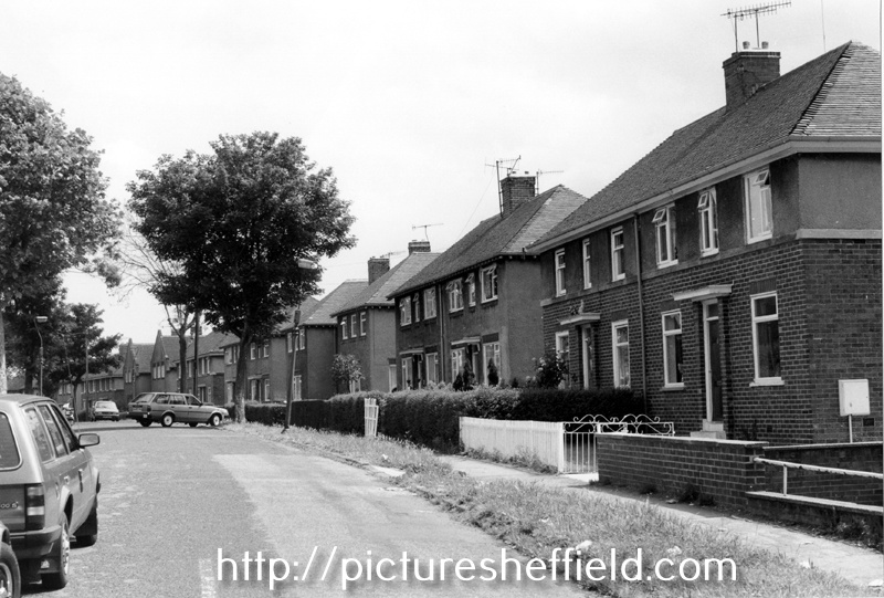 Searching Picture Sheffield