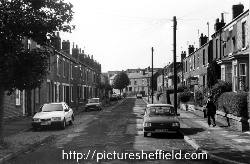 Searching Picture Sheffield
