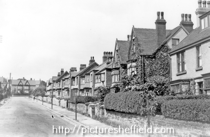Searching Picture Sheffield