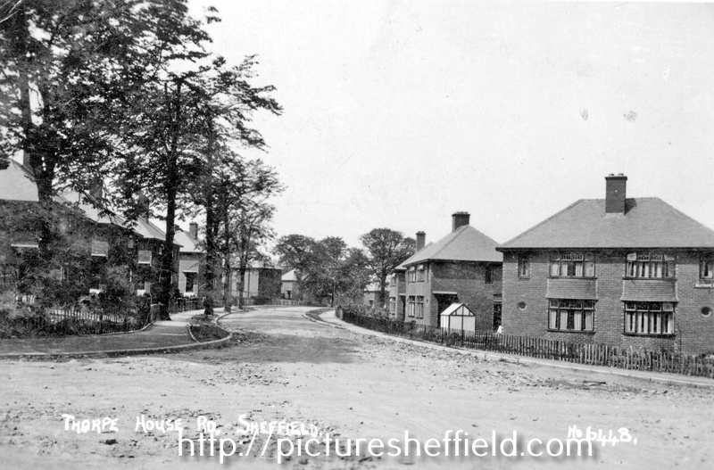 Searching Picture Sheffield