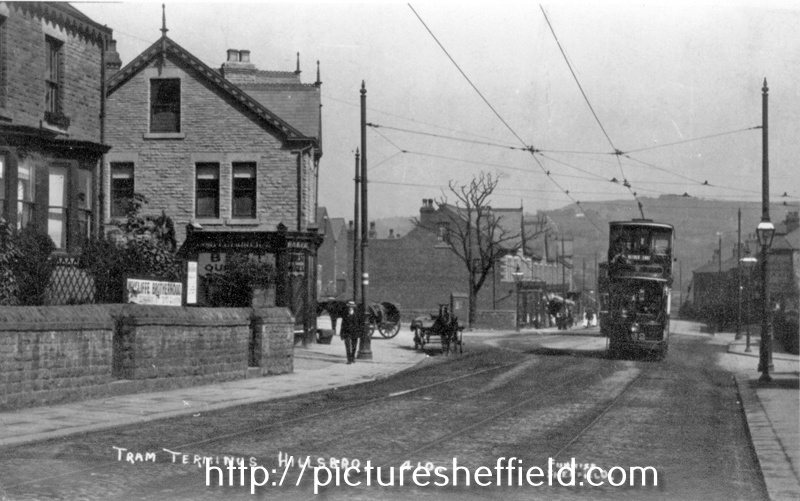 Searching Picture Sheffield