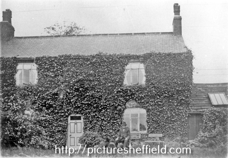 Searching Picture Sheffield