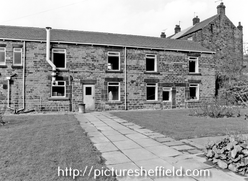 Searching Picture Sheffield