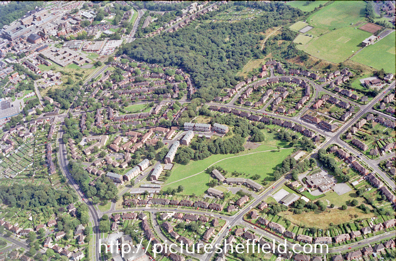 Searching Picture Sheffield