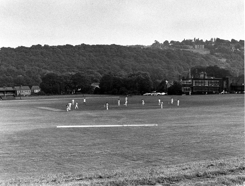Cricket match at Abbeydale Park