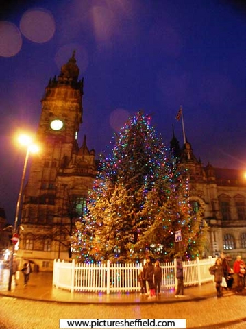 Christmas tree outside the Town Hall