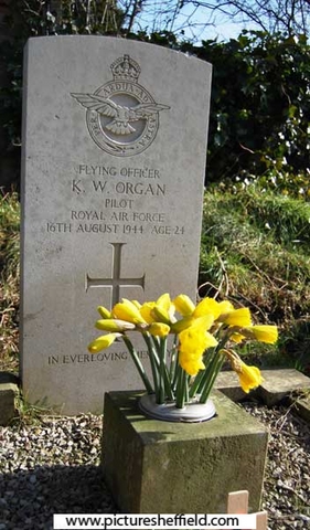 Memorial to Flying Officer (172372) Kenneth William Organ, Pilot, Royal Air Force (Volunteer Reserve), 16 Aug 1944, aged 24,  Ecclesall Churchyard
