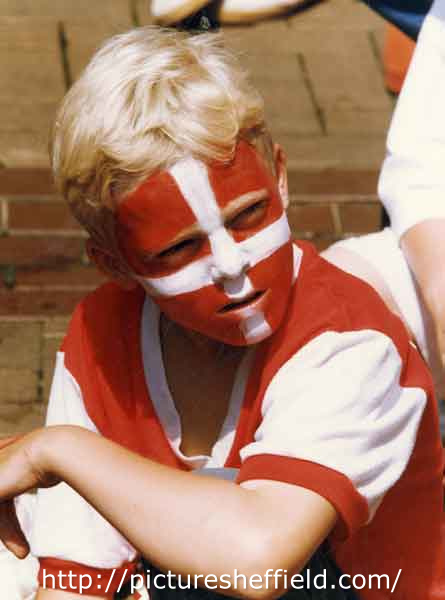 Danish fan during the Euro 96 football tournament