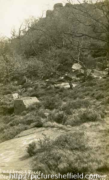 Blackbrook Rocks, Blackbrook Wood, Lodge Moor