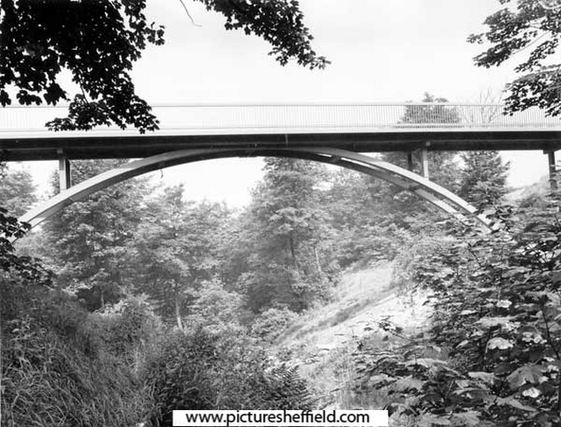 Footbridge over the Jervis Lum Woodland, Norfolk Park 