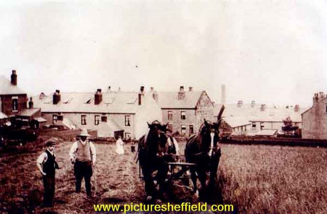 Farming at Crookes (possibly Clough Fields Farm?) - looking towards Cross Lane