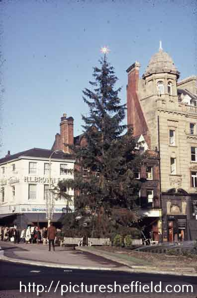 Christmas tree on Fargate showing (left) No. 70 H. L. Brown and Son Ltd., jewellers