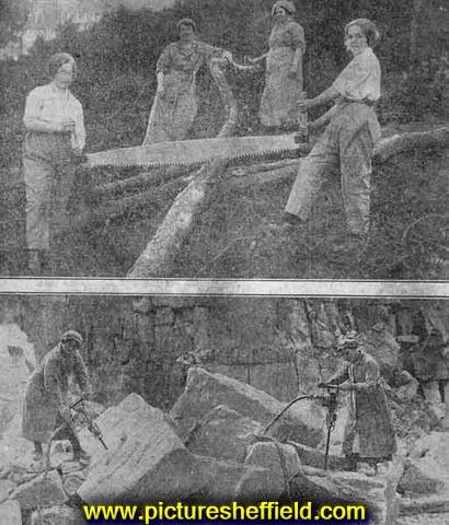 Women sawing timber for pit props and drilling rocks in a limestone quarry, being two of a long list of occupations in which women have been specially trained according to a scheme originated by Mr Thomas Ryan of Buxton.