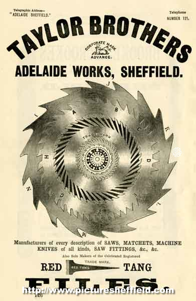 Advertisement for Taylor Brothers, manufacturers of saws, steel, files, machine knives, etc. Adelaide (Steel) Works, Mowbray Street, Neepsend