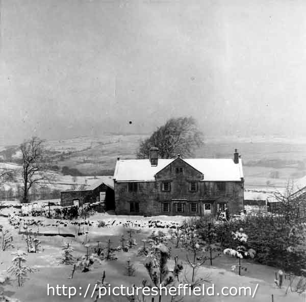 Searching Picture Sheffield
